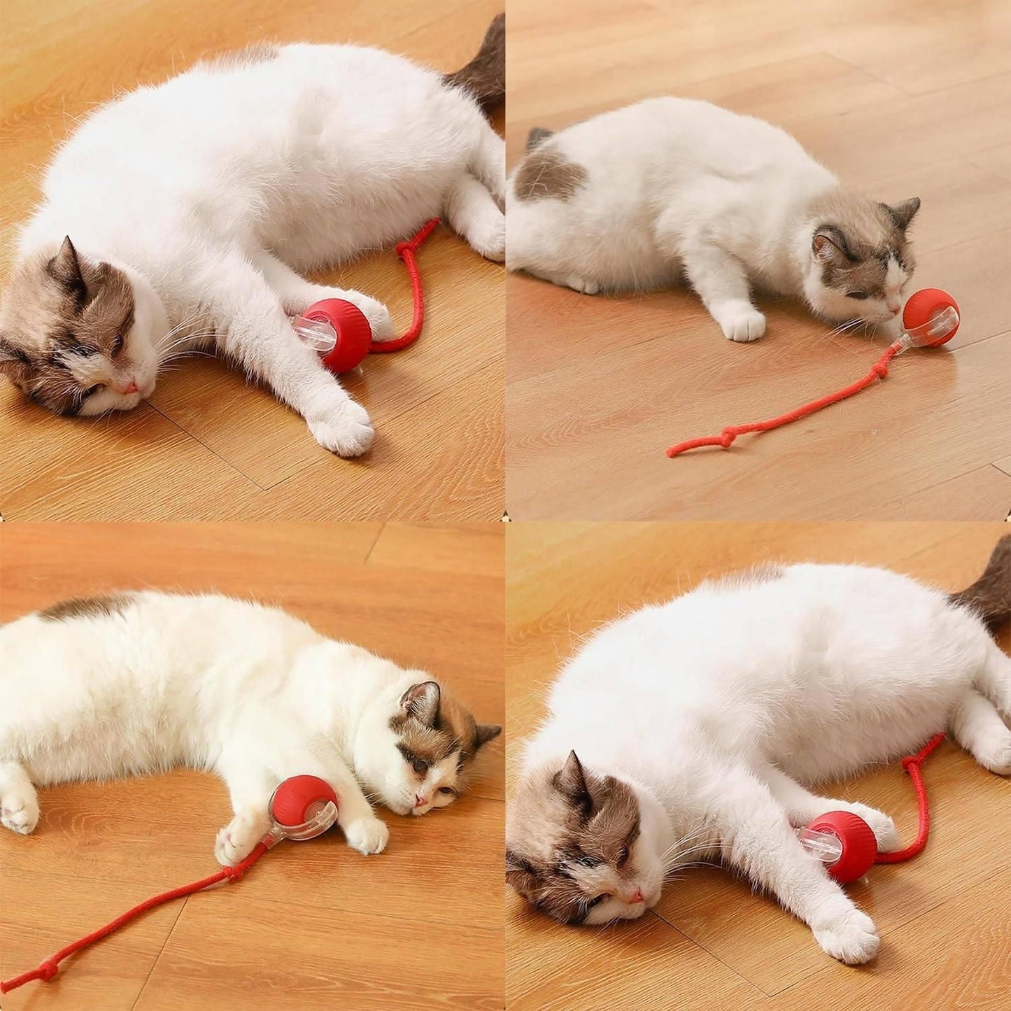 Pet Rolling Ball, Smart Self Running Ball Toy