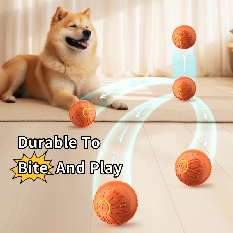 Pet Products