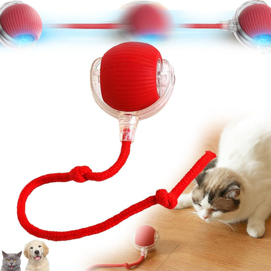 Pet Rolling Ball, Smart Self Running Ball Toy